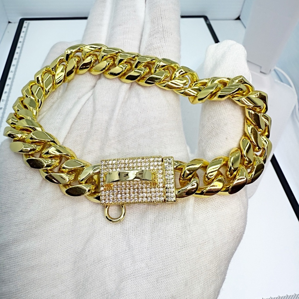 Pet Gold Chain Collar with Rhinestone Clasp